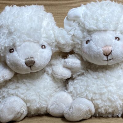 Peluche BABY MACK & BABY MOLLY, pecorelle morbide, ideale per bambini