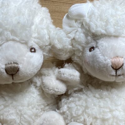 Peluche BABY MACK & BABY MOLLY, pecorelle morbide, ideale per bambini